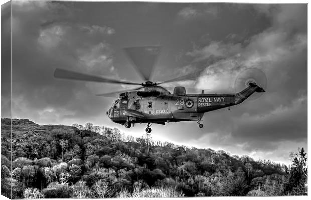 Sea King Helicopter Canvas Print by Roger Green