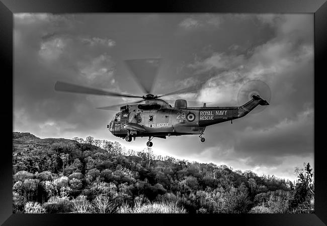 Sea King Helicopter Framed Print by Roger Green
