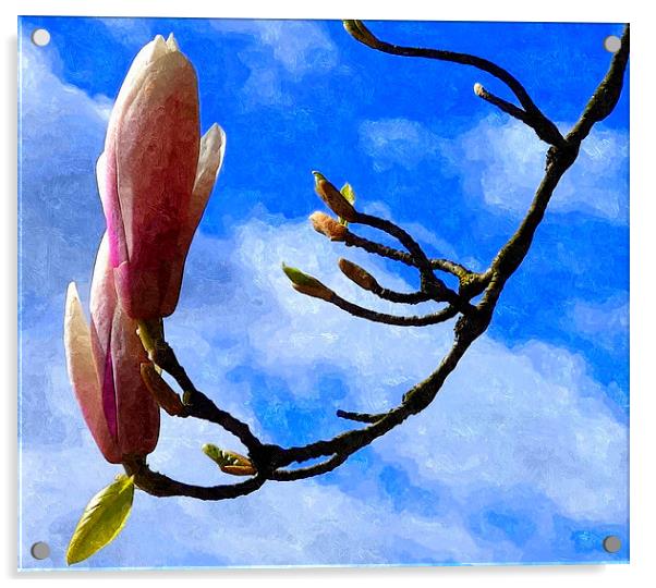Magnolia Acrylic by Paula Palmer canvas