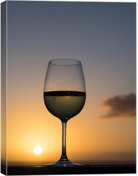 Glass of white wine Canvas Print by Gail Johnson