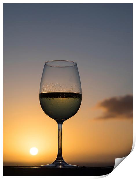 Glass of white wine Print by Gail Johnson