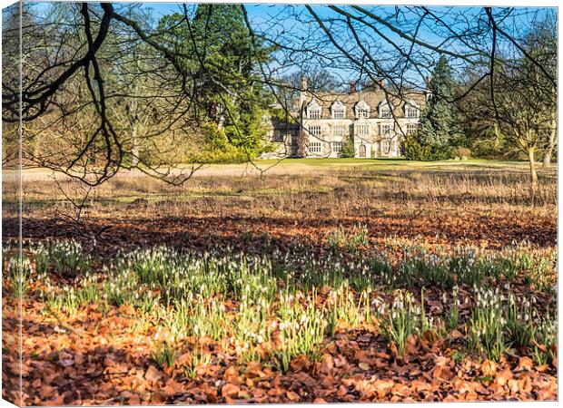 Anglesey Abbey Gardens in Winter Canvas Print by Gail Johnson