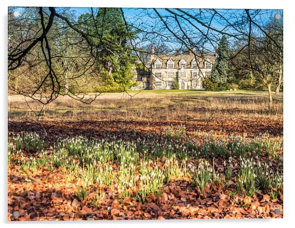 Anglesey Abbey Gardens in Winter Acrylic by Gail Johnson