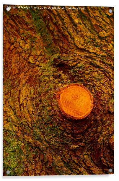 Wood  Bark and Grain Acrylic by Martyn Arnold