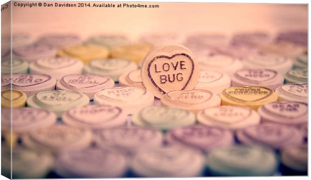 Love Bug Canvas Print by Dan Davidson
