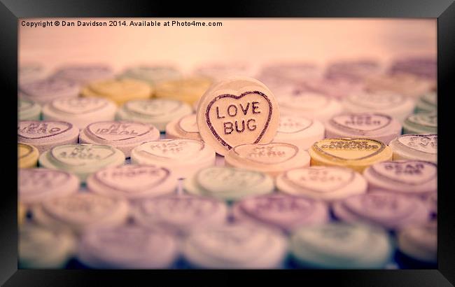Love Bug Framed Print by Dan Davidson