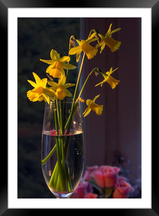 Spring Water Framed Mounted Print by Clive Eariss