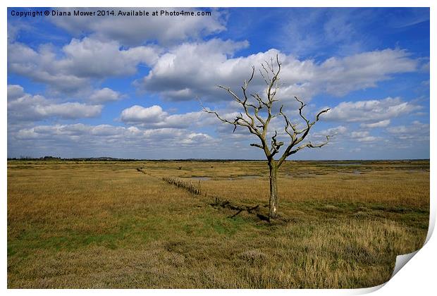 Tollesbury Marshes Print by Diana Mower