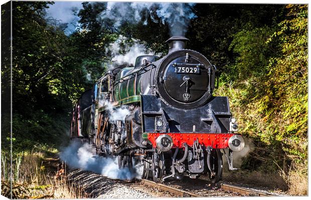 75029, "The Green Knight" Canvas Print by Dave Hudspeth Landscape Photography