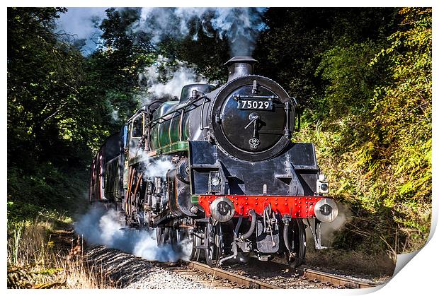 75029, "The Green Knight" Print by Dave Hudspeth Landscape Photography