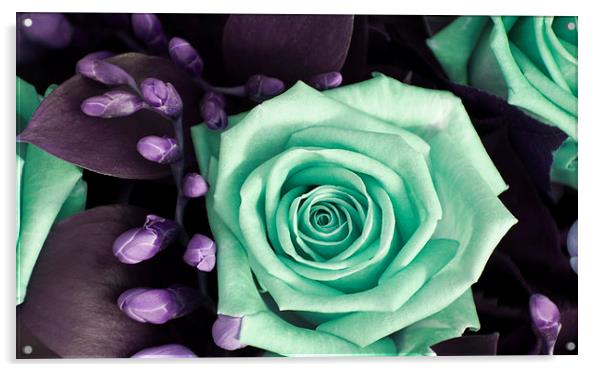 Turquoise and Violet Rose and Buds Acrylic by Heather Wise