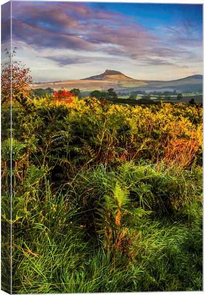 Roseberry Topping Canvas Print by Dave Hudspeth Landscape Photography