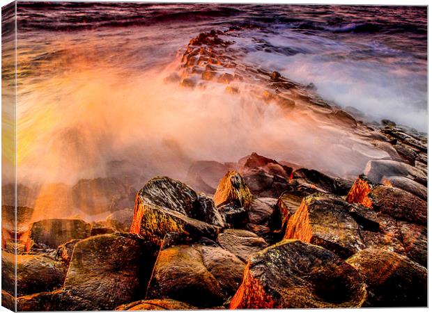 The Giants Causeway Canvas Print by Dave Hudspeth Landscape Photography