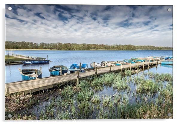 Moored at Filby Broad Acrylic by Stephen Mole