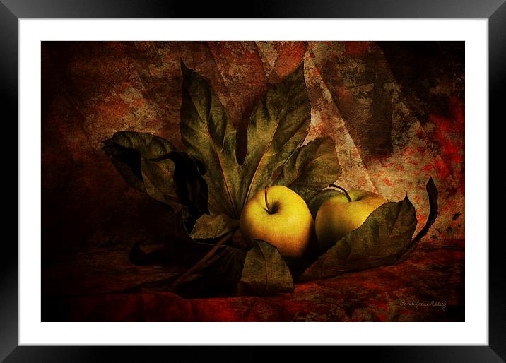 Comfy Apples Framed Mounted Print by Randi Grace Nilsberg