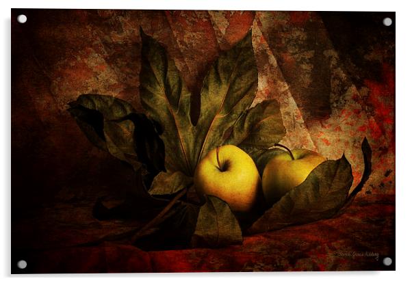 Comfy Apples Acrylic by Randi Grace Nilsberg