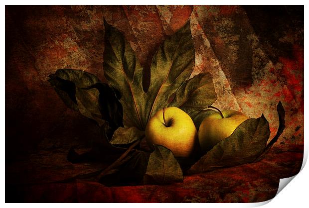 Comfy Apples Print by Randi Grace Nilsberg