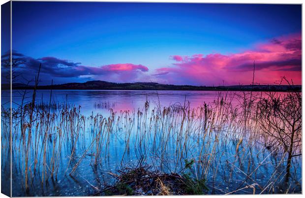 Loch Lomond Canvas Print by Dave Hudspeth Landscape Photography