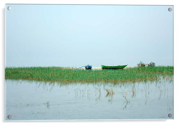 Fishings Boats on Lake Qarun Acrylic by Jacqueline Burrell