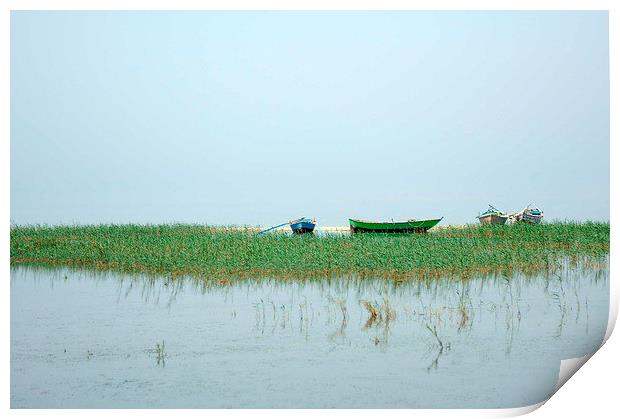 Fishings Boats on Lake Qarun Print by Jacqueline Burrell