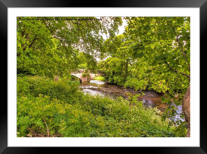 River Skirfare Littondale Framed Mounted Print by Trevor Kersley RIP