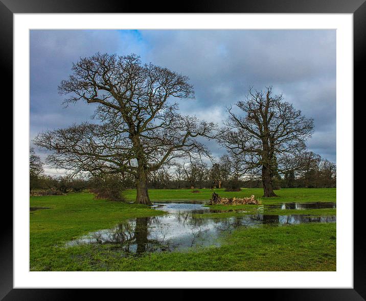 Langley Park Framed Mounted Print by Stewart Nicolaou