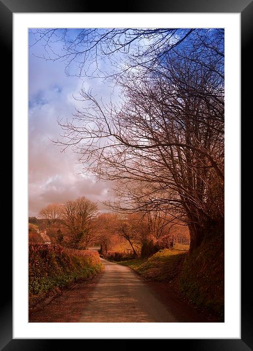Country Road Framed Mounted Print by Alexia Miles