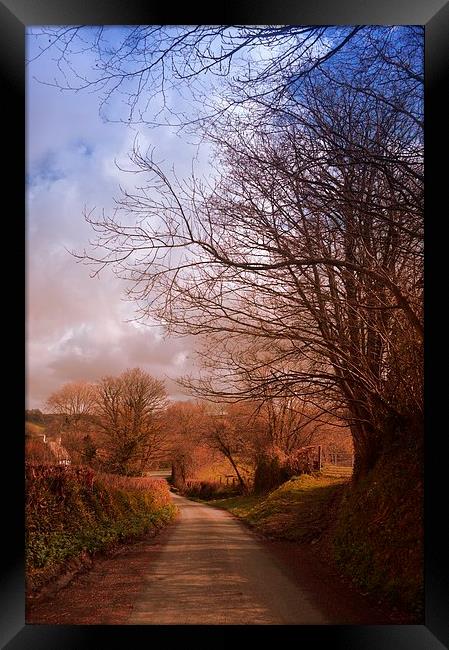 Country Road Framed Print by Alexia Miles