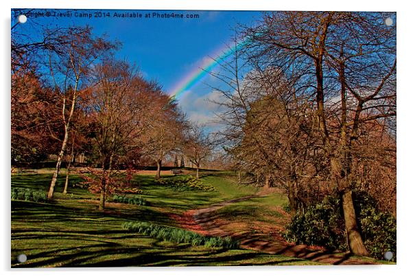 Somewhere Over The Rainbow Acrylic by Trevor Camp