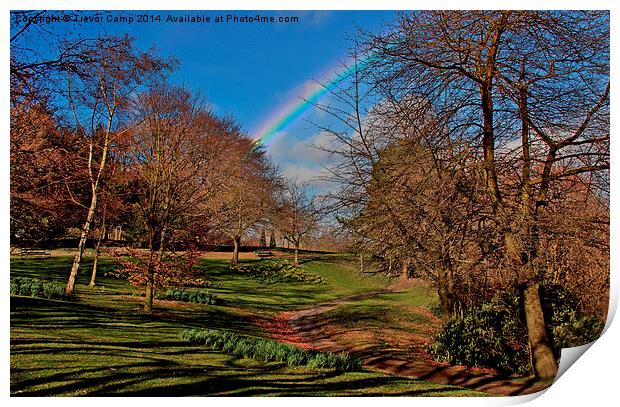 Somewhere Over The Rainbow Print by Trevor Camp