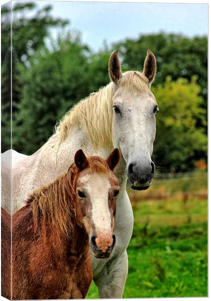 Little and Large Canvas Print by Richard Cruttwell