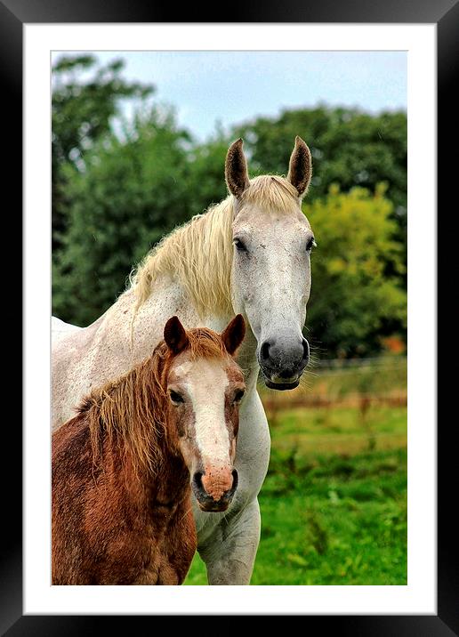 Little and Large Framed Mounted Print by Richard Cruttwell