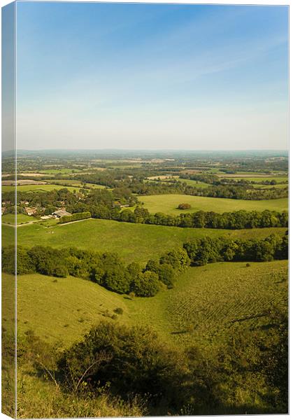 ditchling beacon in summer Canvas Print by Eddie Howland