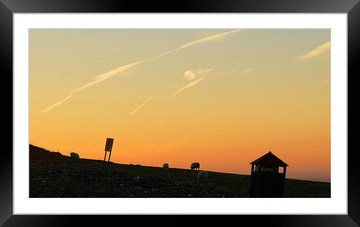 Grazing The Orange Sky Framed Mounted Print by Andrew Middleton