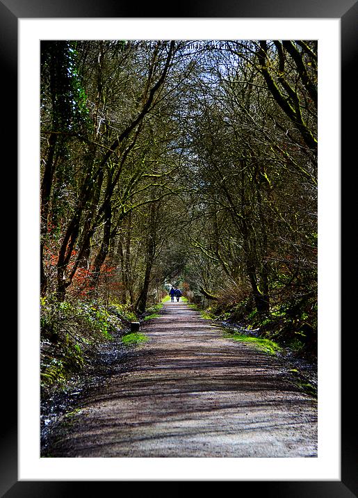 Woodland Walk in Spring Framed Mounted Print by Fine art by Rina