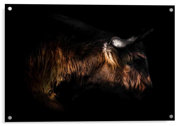 Highland Cow Art Acrylic by Ian Hufton