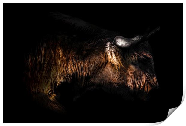 Highland Cow Art Print by Ian Hufton