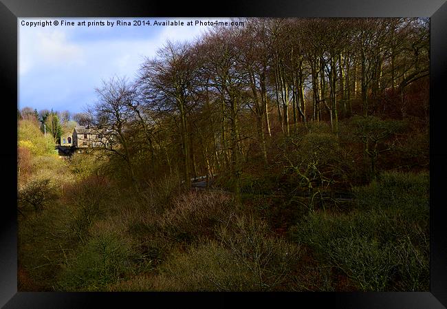 Healy Dell Framed Print by Fine art by Rina