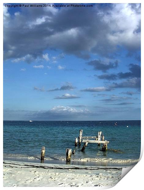 Old Jetty Supports Print by Paul Williams