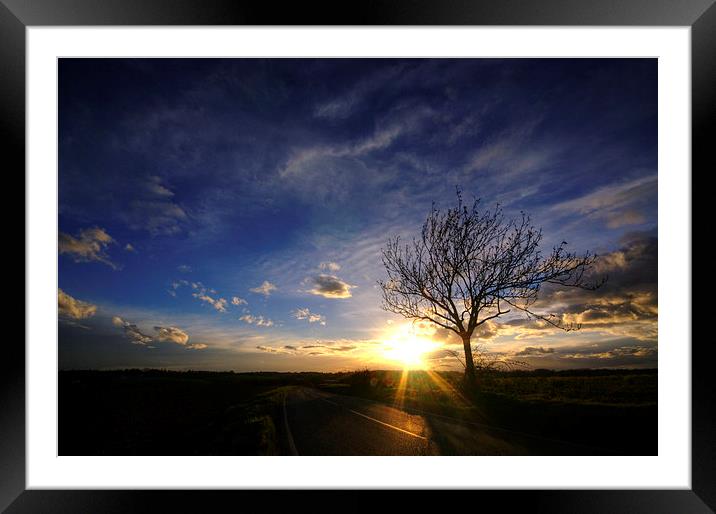Sunset Tree Framed Mounted Print by Nigel Bangert