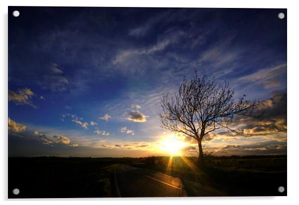 Sunset Tree Acrylic by Nigel Bangert