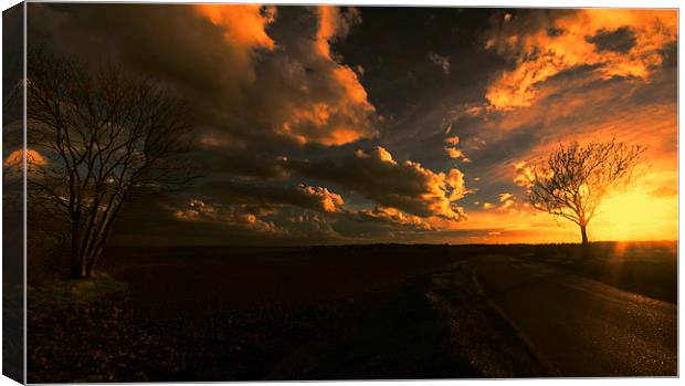 Sunset Panoramic Canvas Print by Nigel Bangert