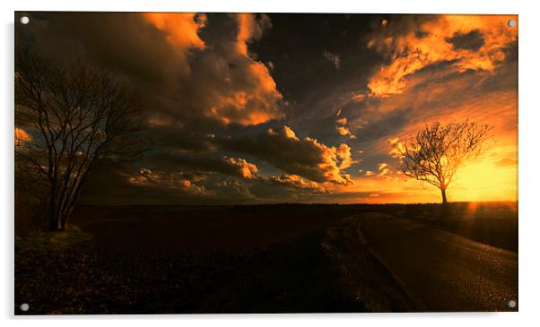 Sunset Panoramic Acrylic by Nigel Bangert