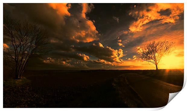 Sunset Panoramic Print by Nigel Bangert