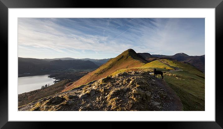 Cat Bells Framed Mounted Print by Simon Wrigglesworth
