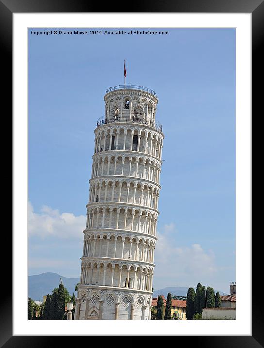 Leaning Tower of Pisa Framed Mounted Print by Diana Mower