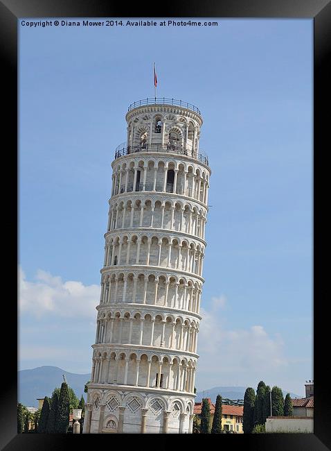 Leaning Tower of Pisa Framed Print by Diana Mower