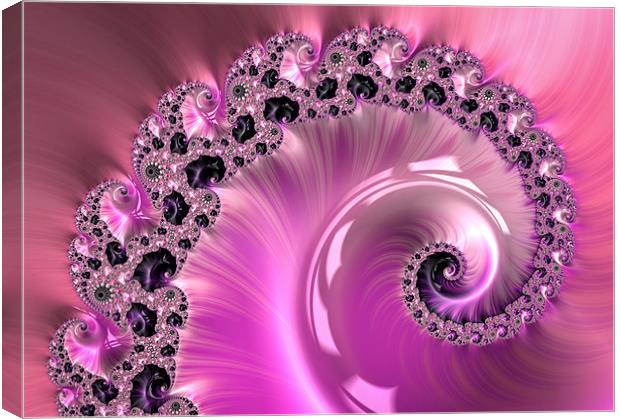 Pretty pink fractal spiral Canvas Print by Matthias Hauser