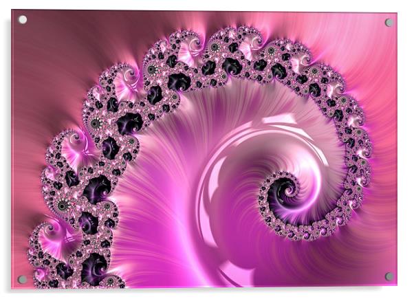Pretty pink fractal spiral Acrylic by Matthias Hauser