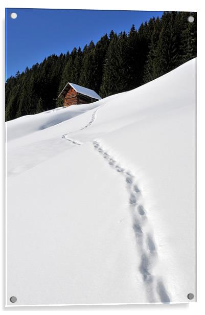 Foot prints in the snow Acrylic by Matthias Hauser